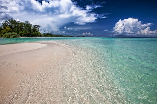 BVI Forex License