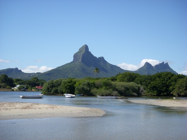 Forex brokers in mauritius