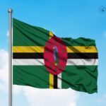 Dominica-Forex-License
